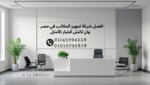 صورة توضح تجهيزات مكتبية حديثة داخل شركة احترافية في مصر، تشمل مكاتب وكراسي عملية مع لمسة ديكور بسيطة وزرع طبيعي.